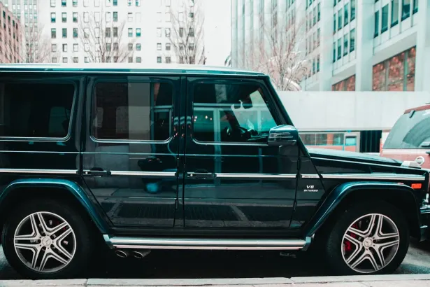 Gambols Casino Android/iOS Forrit